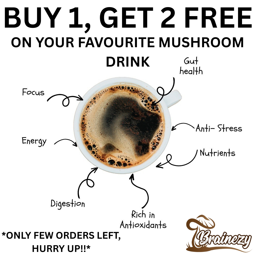 Brainezy 9in1 Daily Wellness Mushroom Secret- 30 Servings