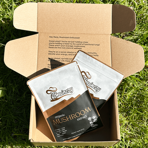Daily Mushroom Energy & Mind Support- 60g (30 Servings)