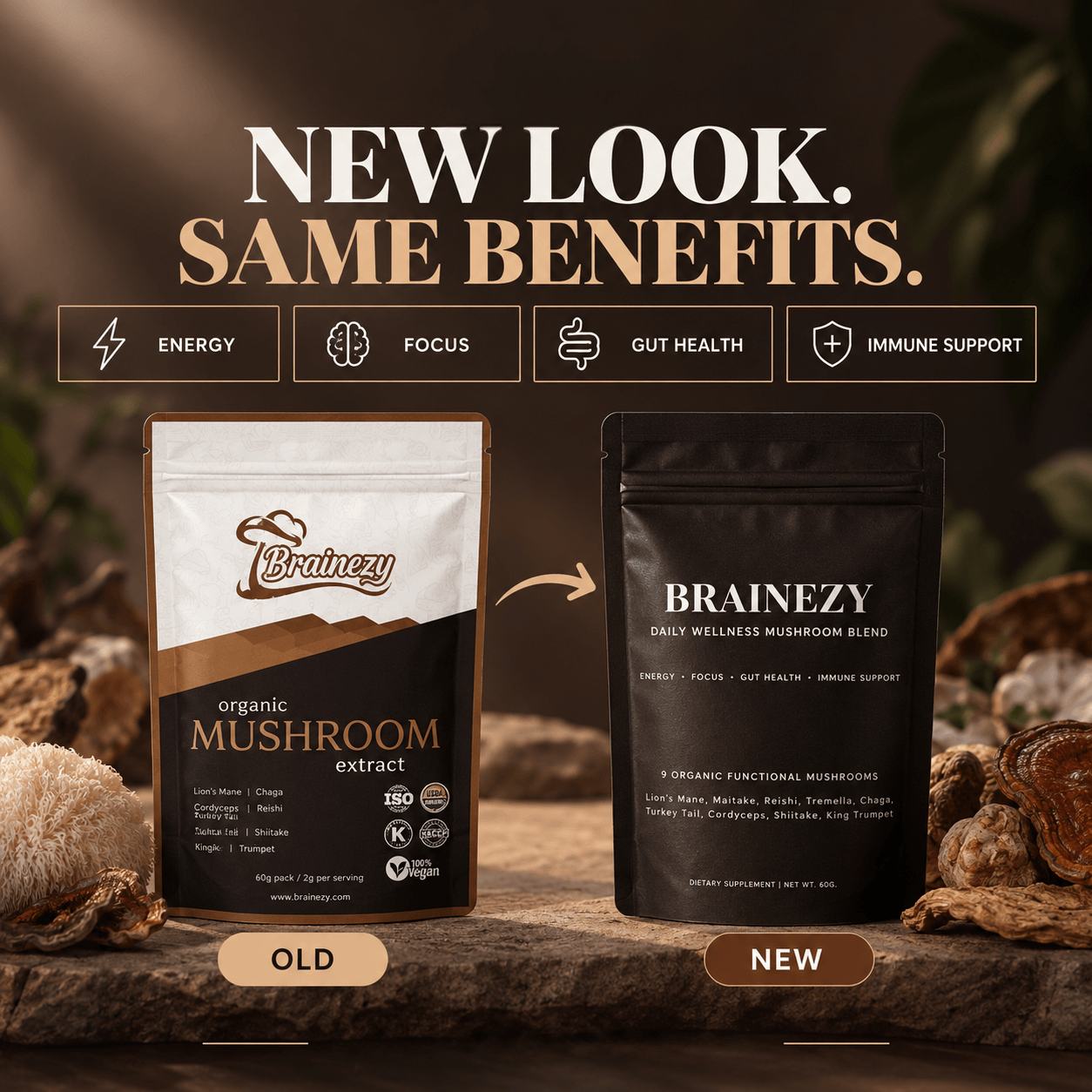 Daily Mushroom Energy & Mind Support- 60g (30 Servings)