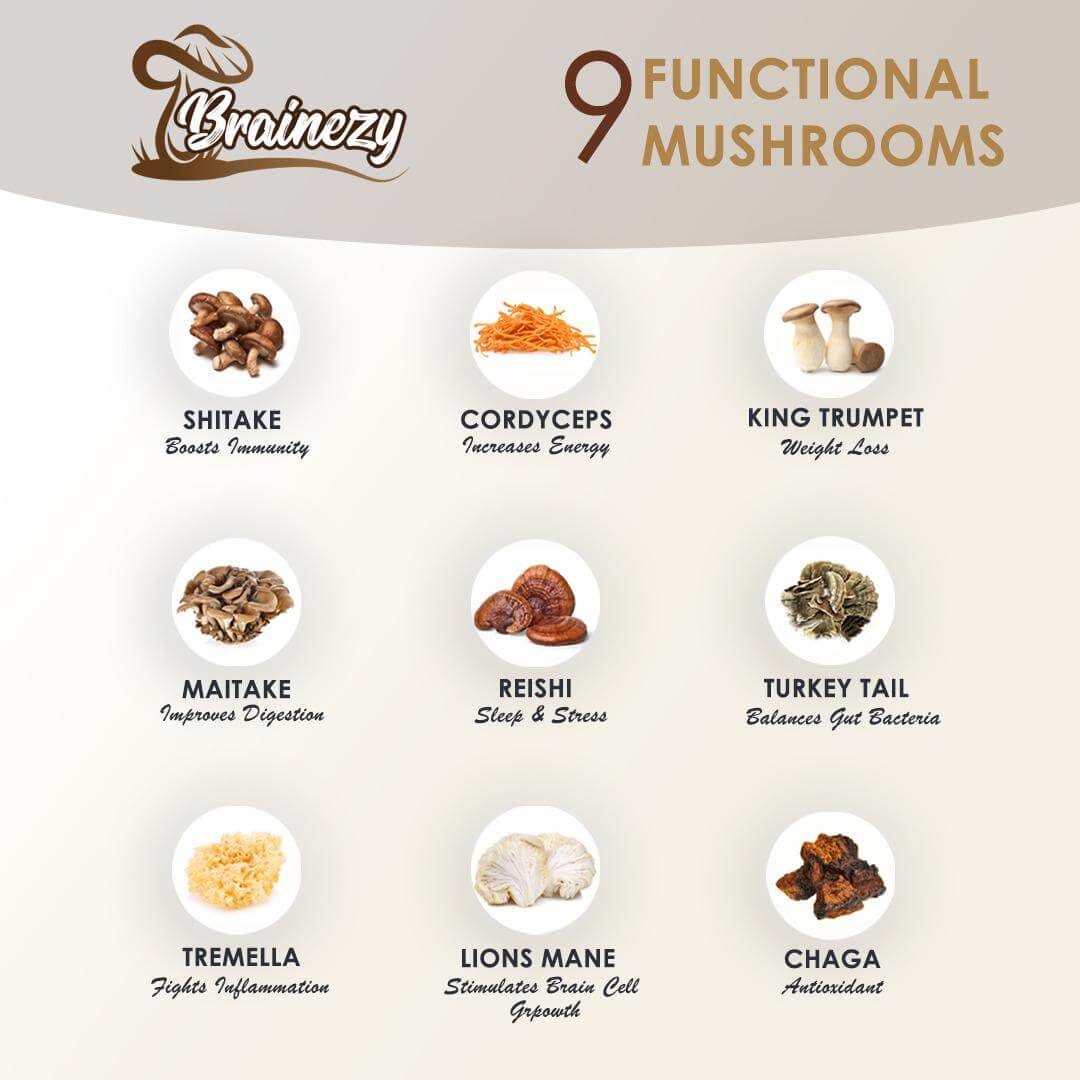 Brainezy 9in1 Daily Wellness Mushroom Secret- 30 Servings